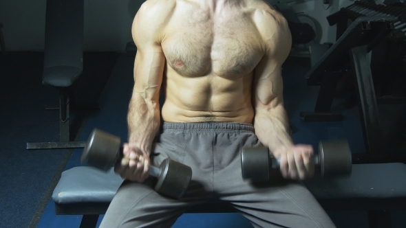 Muscular Torso and Hands With Dumbbells of Man Exercising in Gym.