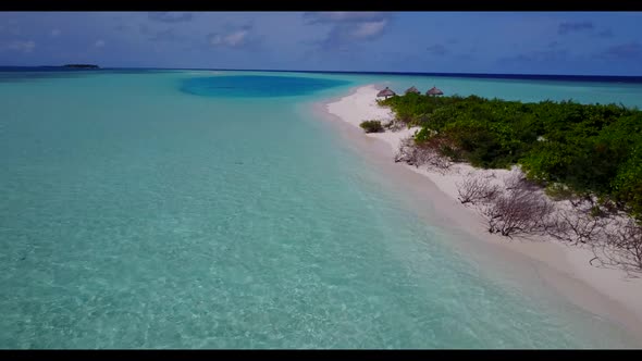 Aerial tourism of tranquil tourist beach wildlife by blue water with white sandy background of a day