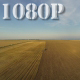 Flying over Field - VideoHive Item for Sale
