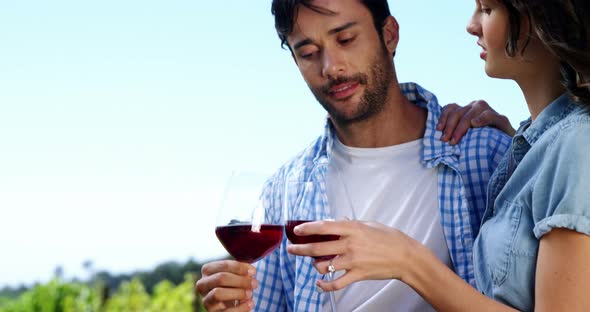 Couple toasting wine glasses in the farm