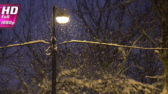 Evening Snowfall in the Park