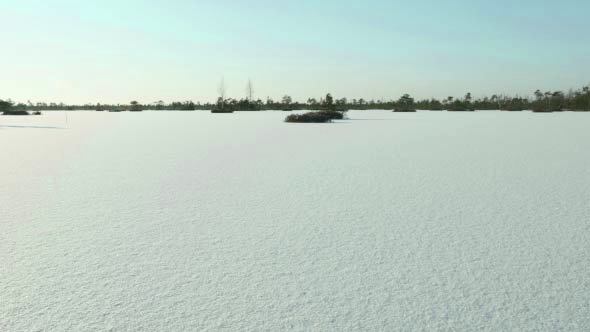 Field of the Snow