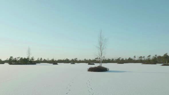 Trace of Boot on the Frozen Lake