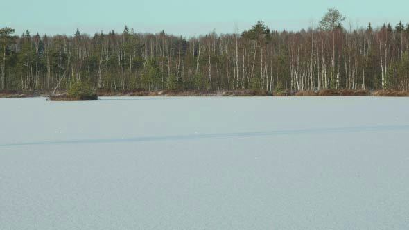 Frozen Lake under Snow near the Forest