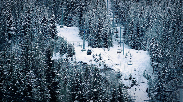 Ski Lift Through Trees In Winter Landscape