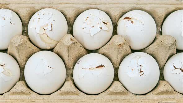 Broken spoiled white eggs in a cardboard box, stop motion
