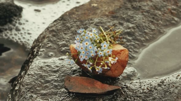 Bouquet of Blue Flowers on a Stone at Lake Shore