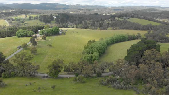 Aerial shot moving forward over lush green paddocks in rural Victoria.