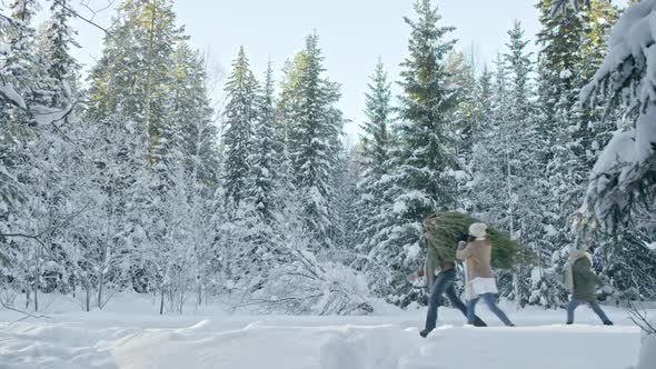 Family with Christmas Tree Walking through Forest