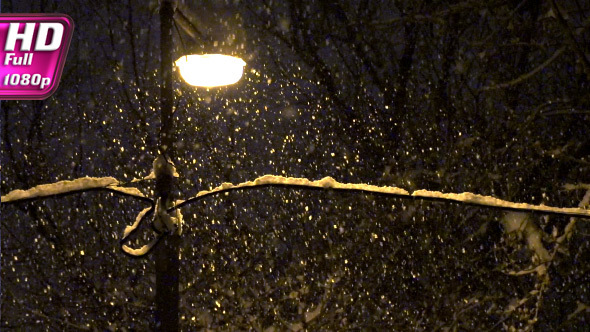 Park Covered with Snow alt