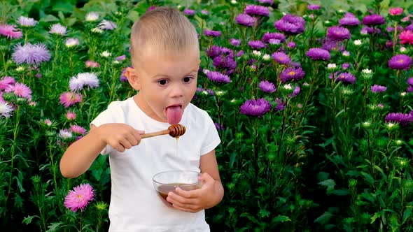 The Child Eats Honey in the Summer