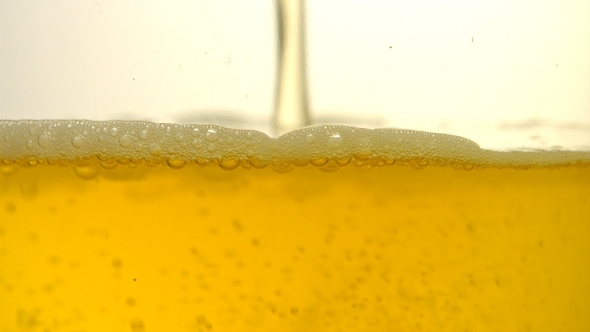 Golden Light Beer Being Poured Into a Glass  alt