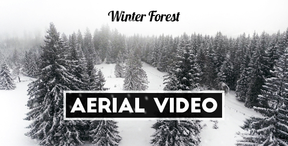 Aerial Video of Winter Forest in Switzerland