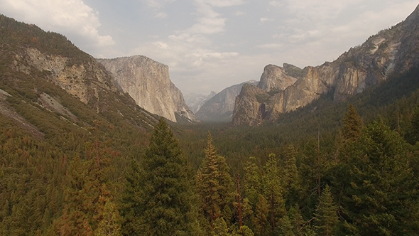 Yosemite Trees Valley