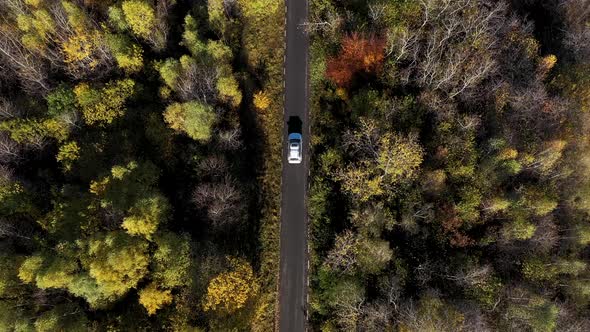 Flying Above a White Car Driving on Colorful Autumn Forest Road