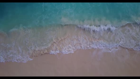 Aerial above scenery of luxury shore beach wildlife by shallow ocean with white sandy background of 