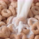 Pouring milk into cereal. Slow Motion. - VideoHive Item for Sale