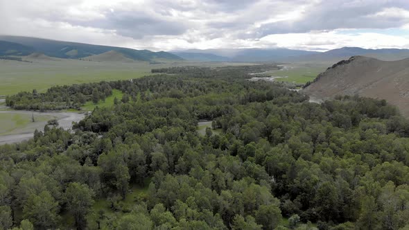 Trees, Forest and Vast Meadow in The Big River in Wide Valley of Asia Geography