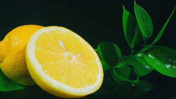 Yellow Citrus Fruit With Twig