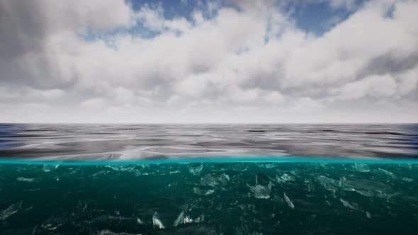 Split View Over and Under Water in the Caribbean Sea with Clouds