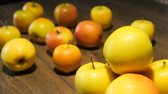 Yellow Apples alt