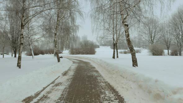 Walkway in the Winter Park