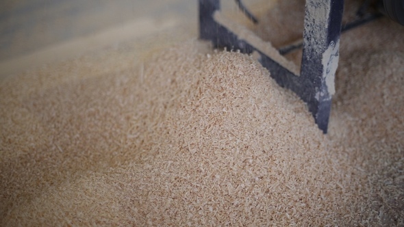 Operation of Woodworking Circular Sawing Machine