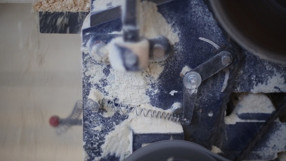 Operation of Woodworking Circular Sawing Machine alt