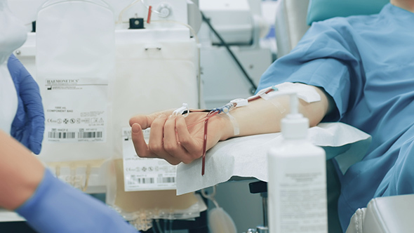 Nurse Cuts The Tube After Giving Blood Donation