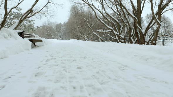 Winter Walking