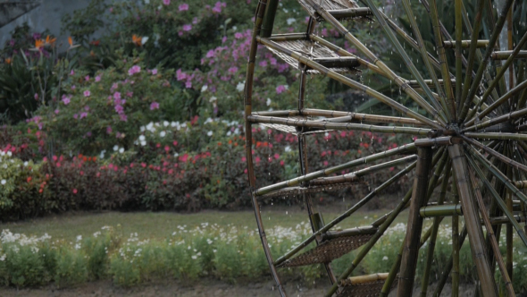 Water Wheel In Farm