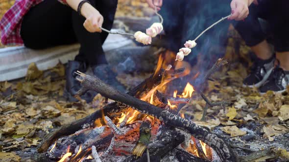 Roasting Marshmallows Over Campfire in Forest