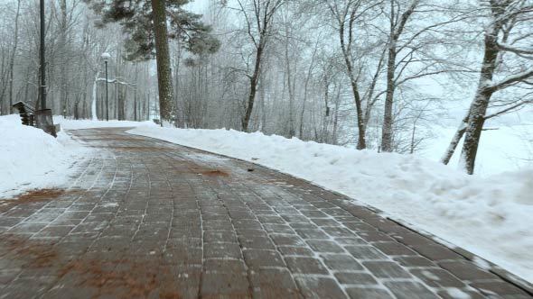 Snowy Walkway in the Park