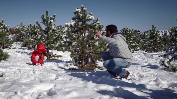 Little Girl With Father Playing With Snowballs