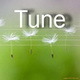 Tune - AudioJungle Item for Sale