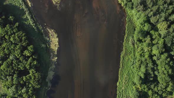 River Bed And Forest Trees