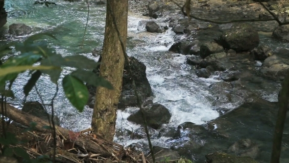 River In The Rainforest In Cebu Philippines