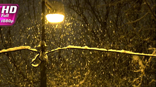 Street Lamp and Snowfall
