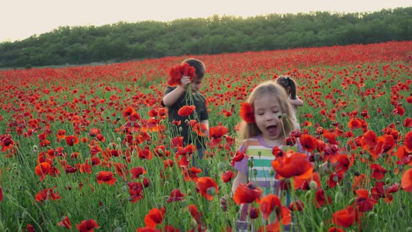 Happy children a boy and girls play and walk in a blooming poppy field. Poppies field