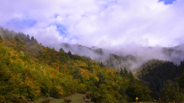 The Movement Of Clouds Over The Autumn Forest. 