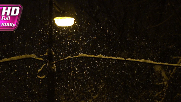 Snowfall in the Night Park alt