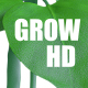 Grow Bean - VideoHive Item for Sale