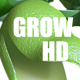 Grow pea - VideoHive Item for Sale