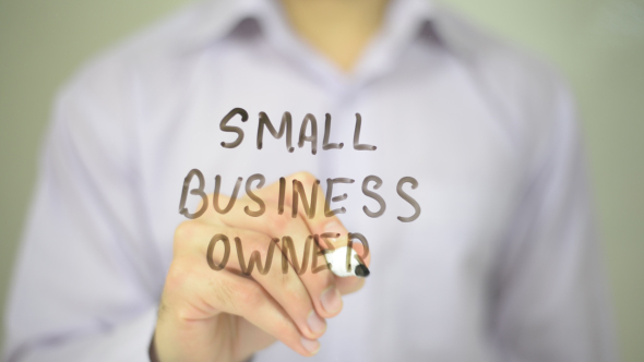 Small  Business Owner alt
