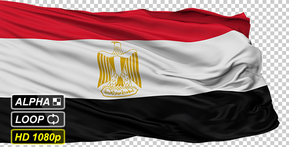 Isolated Waving National Flag of Egypt
