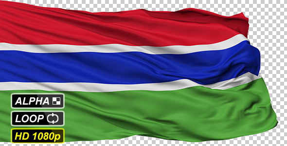 Isolated Waving National Flag of Gambia