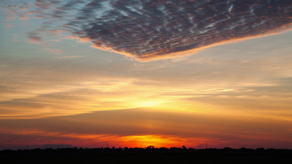 Sunrise in the Field