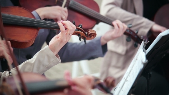 Women Playing Stringed Instruments Violin, Cello