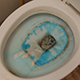 Cleaning A Dirty Toilet - VideoHive Item for Sale