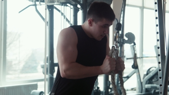 Bodybuilder Doing Triceps Workout